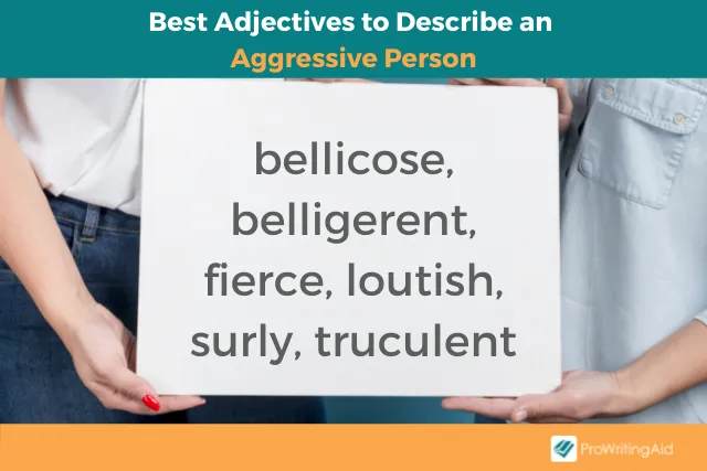 Adjectives for an aggressive person