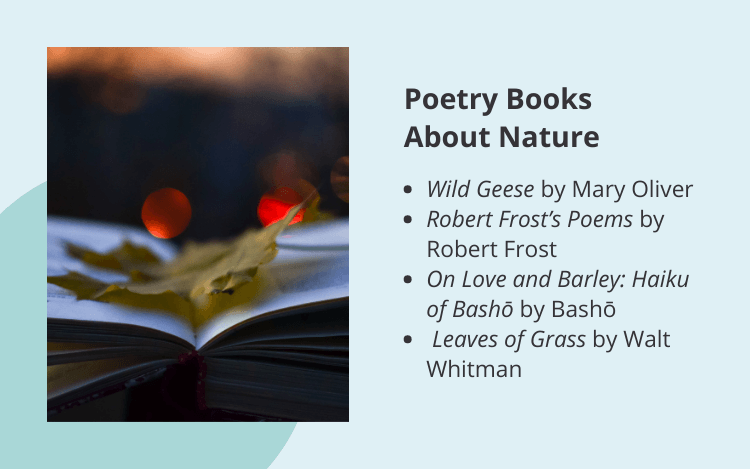 poetry books about nature