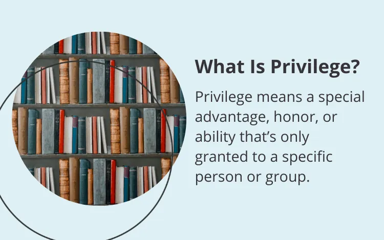 privilege definition