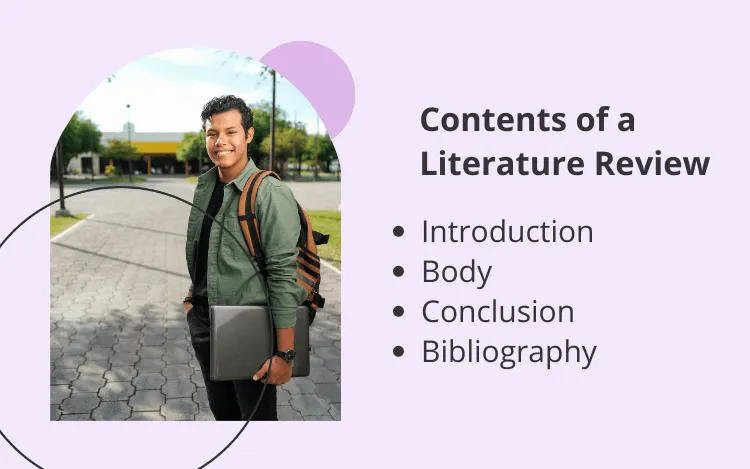 contents of a literature review