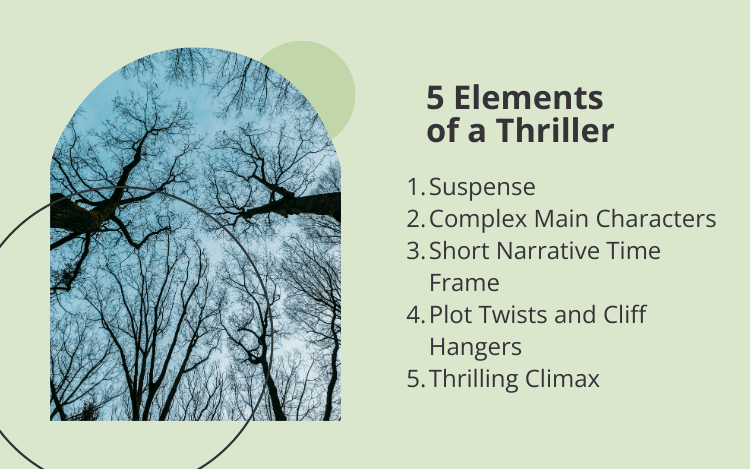 elements of a thriller