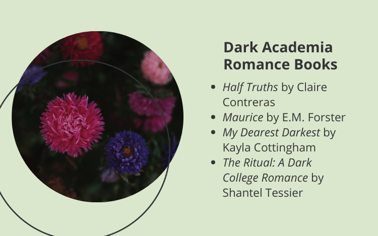 dark academia romance books