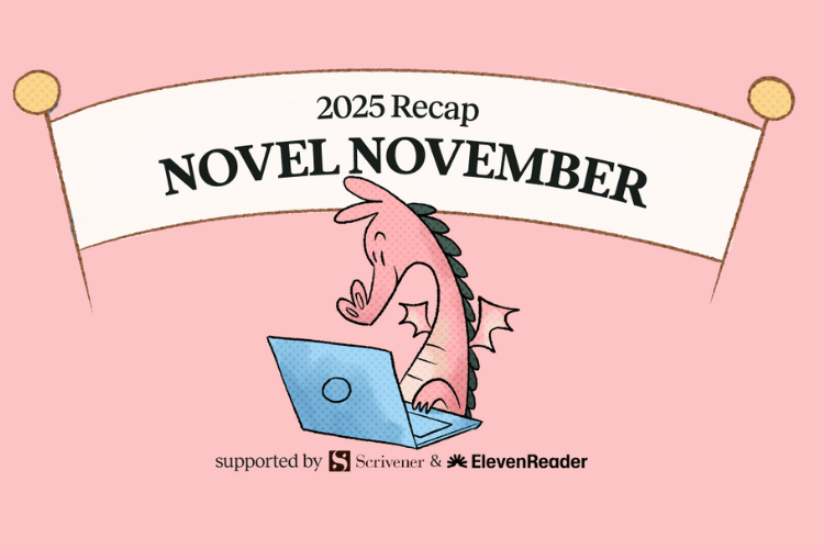 Image saying 2025 recap of Novel November